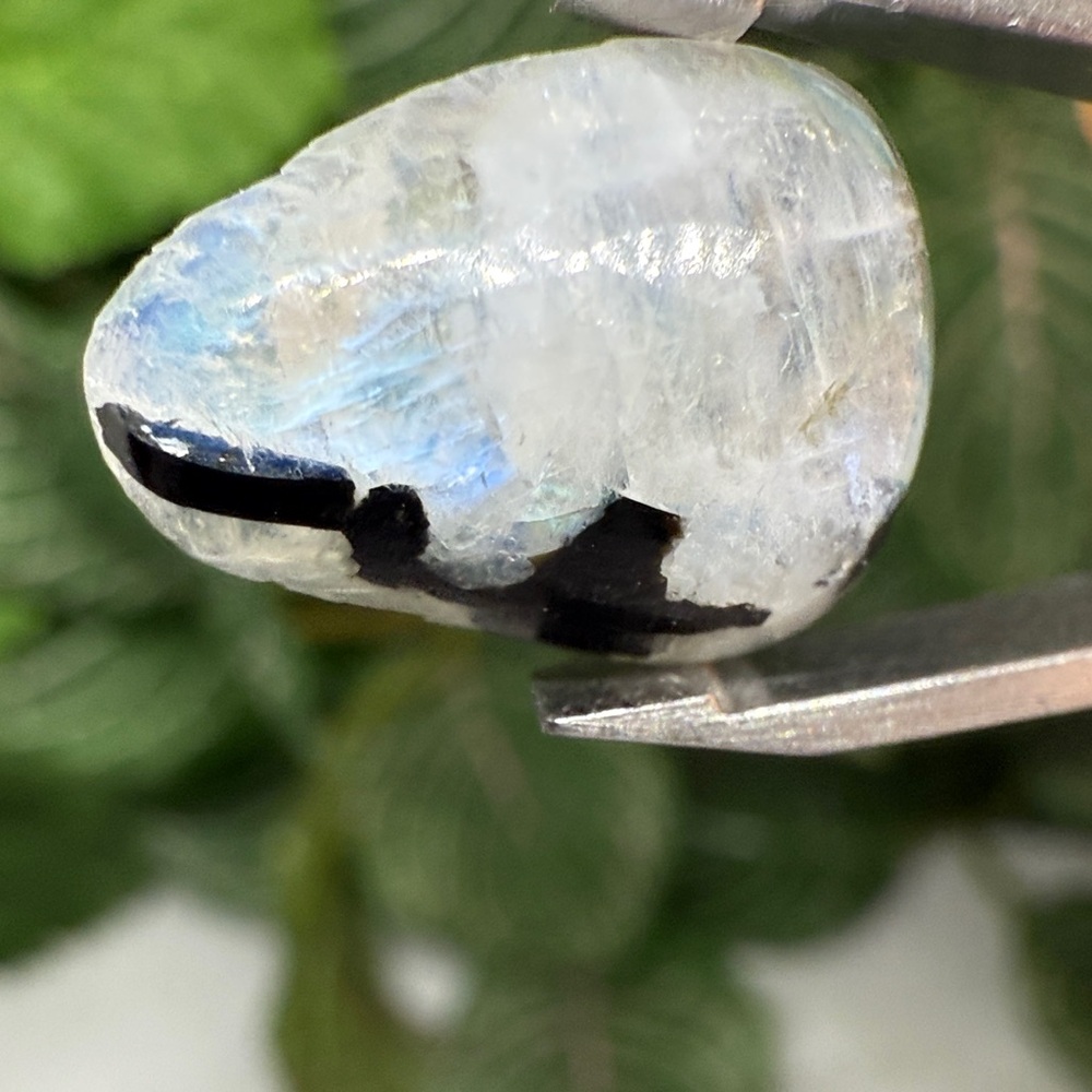 Rainbow Moonstone Pear Cabochon